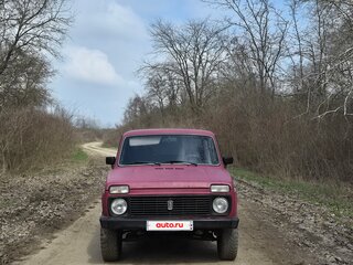 1993 Lada (ВАЗ) 2121 (4x4) I Рестайлинг, красный, 350000 рублей, вид 2