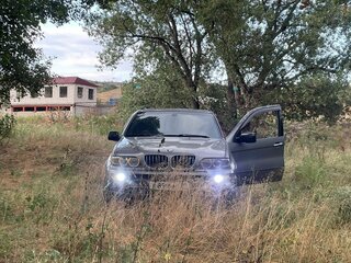 2004 BMW X5 4.4i I (E53) Рестайлинг, серый, 1000000 рублей, вид 2