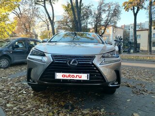 2018 Lexus NX 300 I Рестайлинг, серебристый, 2250000 рублей, вид 2