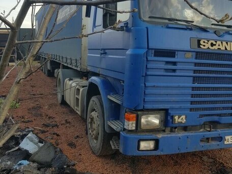 1991 Scania 3-Series, синий, 600000 рублей, вид 2
