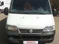 2009 Fiat Professional Ducato, белый, 650000 рублей