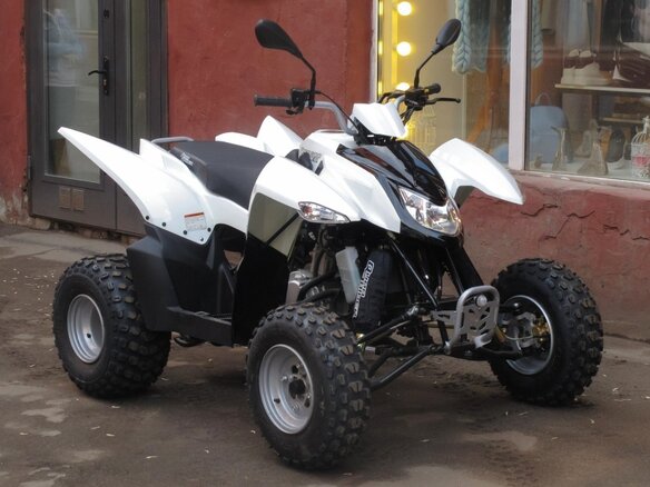2026 Sym QuadRaider, белый, 233000 рублей - вид 1