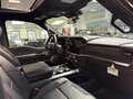 2025 Ford F-150 Raptor XIV Рестайлинг, зелёный, 15530000 рублей - вид 10