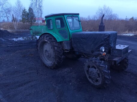 1988 ЛТЗ Т-40АМ, зелёный, 380000 рублей, вид 4
