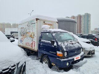 2008 Hyundai Porter, синий, 450000 рублей, вид 2