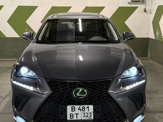 2019 Lexus NX 300 I Рестайлинг, серый, 3750000 рублей, вид 1