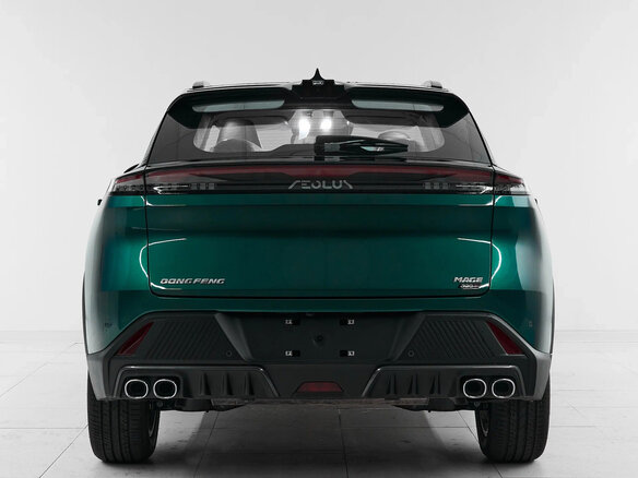 2025 Dongfeng Mage, зелёный, 2550000 рублей - вид 4