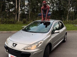 2007 Peugeot 307 I Рестайлинг, серебристый, 239000 рублей, вид 1