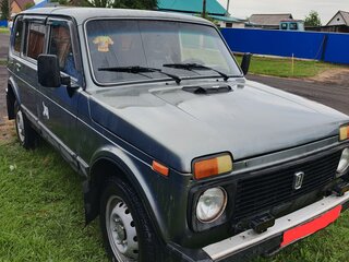 2006 Lada (ВАЗ) 2131 (4x4) 213105 I, серый, 250000 рублей, вид 3
