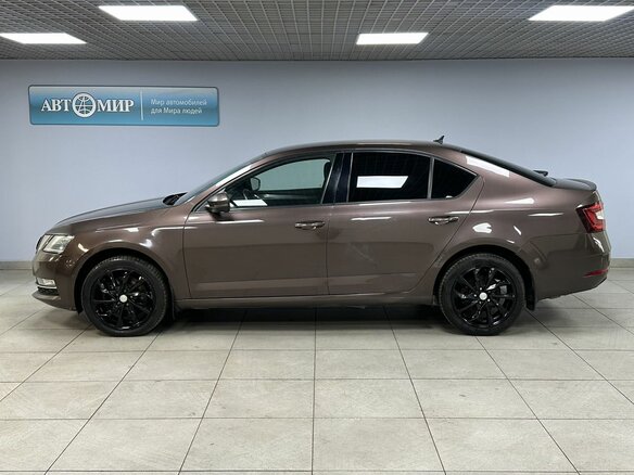 2019 Skoda Octavia III (A7) Рестайлинг, коричневый, 1720000 рублей - вид 7