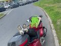 2002 Honda NT650V Deauville, красный - вид 6