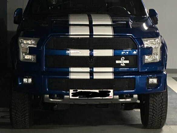 2016 Ford F-150 XIII, синий, 10800000 рублей - вид 3