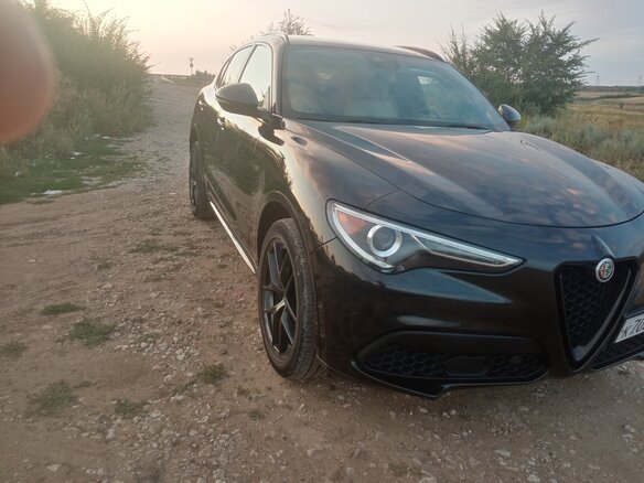2020 Alfa Romeo Stelvio I, чёрный, 3100000 рублей - вид 21