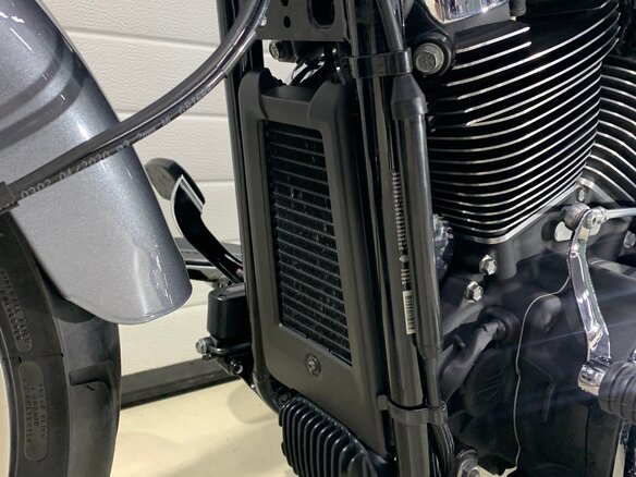 2021 Harley-Davidson Fat Boy, серый, 1849000 рублей - вид 20