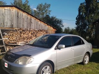 2002 Toyota Corolla IX (E120, E130), серый, 500000 рублей, вид 2