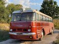 1972 Ikarus 255, красный, 2900000 рублей - вид 1