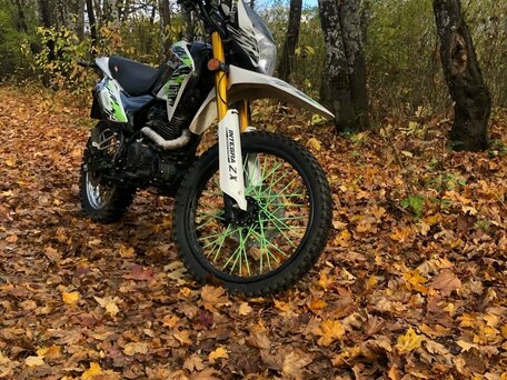 2022 Motoland Enduro 250, белый, 70000 рублей, вид 5