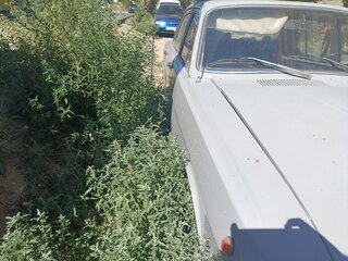 1980 ГАЗ 24 «Волга» 24 I (24), серый, 250000 рублей, вид 2
