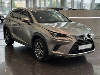 2019 Lexus NX 300 I Рестайлинг, серый, 3860000 рублей, вид 3