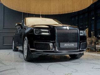 2020 Aurus Senat Long Armored I, чёрный, 51000000 рублей, вид 5