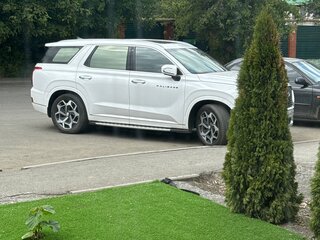 2020 Hyundai Palisade I, белый, 4100000 рублей, вид 3