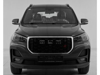 2024 SWM G05 Pro, серый, 1855000 рублей, вид 2