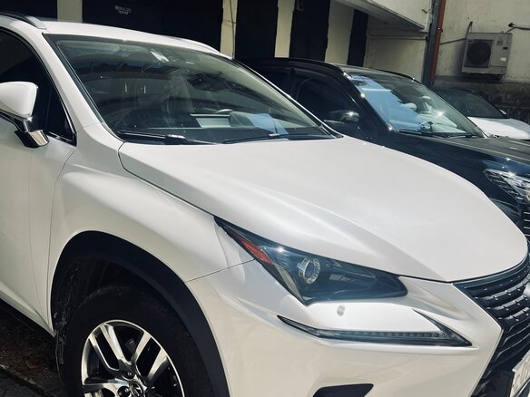 2021 Lexus NX 200 I Рестайлинг, белый, 4650000 рублей - вид 11