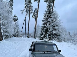 2010 Lada (ВАЗ) 2105, серый, 250000 рублей, вид 1