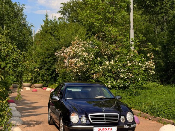 1997 Mercedes-Benz CLK-Класс 230 I (W208), синий, 585000 рублей
