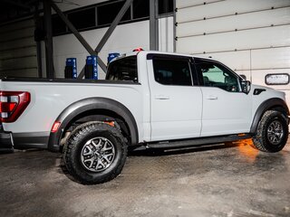 2023 Ford F-150 Raptor XIV, серый, 11850000 рублей, вид 5