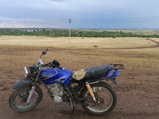 Viper V150