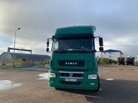 2018 КамАЗ 5490 NEO, зелёный, 1650000 рублей, вид 2