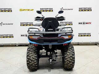2026 Motoland ATV 300 MAX X, серебристый, 449000 рублей, вид 4