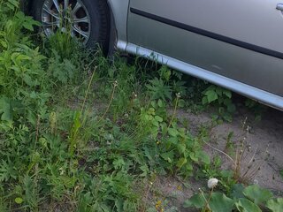2007 Skoda Octavia I (A4) Рестайлинг, серебристый, 299999 рублей, вид 4