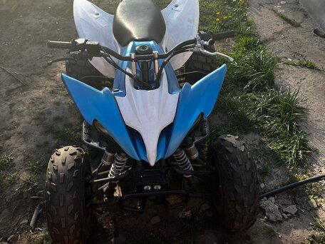 2019 Motoland Raptor 125, белый, 95000 рублей, вид 1
