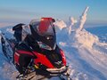 2024 BRP Lynx 49 Ranger 600, красный, 1800000 рублей