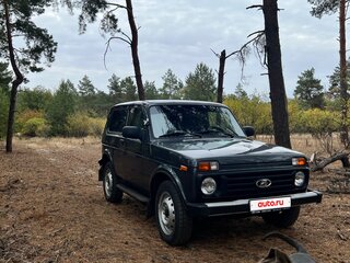 2017 Lada (ВАЗ) 2121 (4x4) I Рестайлинг, серебристый, 675000 рублей, вид 2