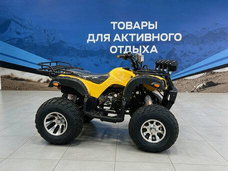 2026 Raptor MAX PRO 250, жёлтый, 231900 рублей, вид 2
