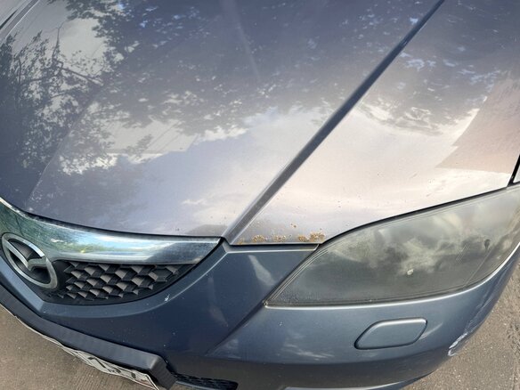 2006 Mazda 3 I (BK), серый - вид 10