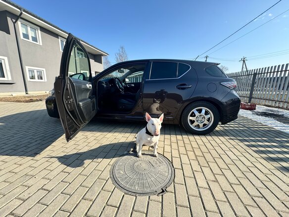 2011 Lexus CT 200h I, коричневый, 1350000 рублей - вид 8