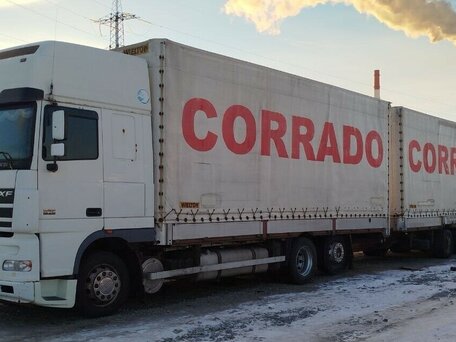 2004 DAF XF 95, белый, 3500000 рублей, вид 3