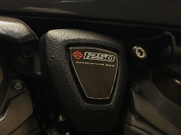 2021 Harley-Davidson Pan America Special, серый, 1499000 рублей - вид 12