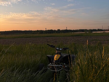 2014 BRP Can-Am DS 90, чёрный, 280000 рублей, вид 1