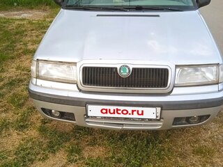 1998 Skoda Felicia I, серый, 170000 рублей, вид 1