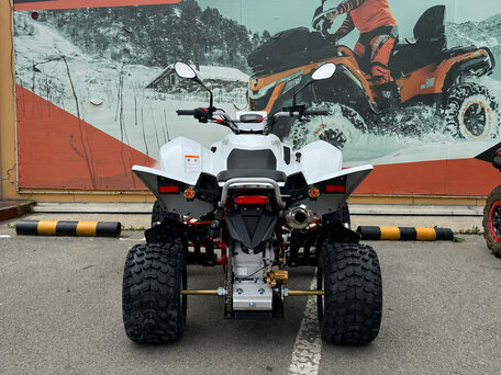 2026 Sym QuadRaider, белый, 367100 рублей, вид 5
