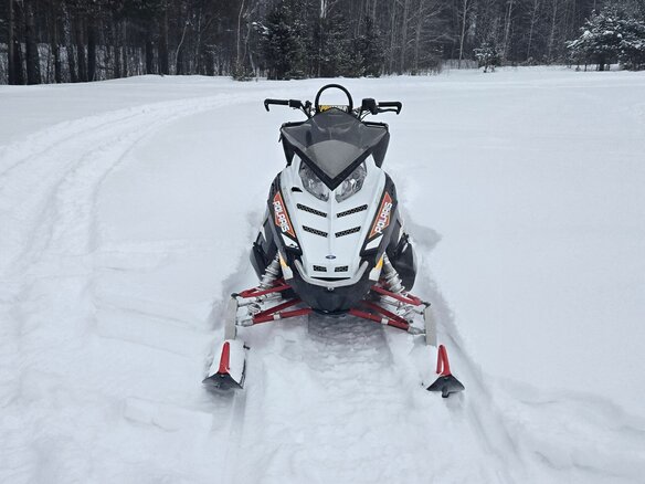 2014 Polaris 800 PRO-RMK, белый, 700000 рублей - вид 2