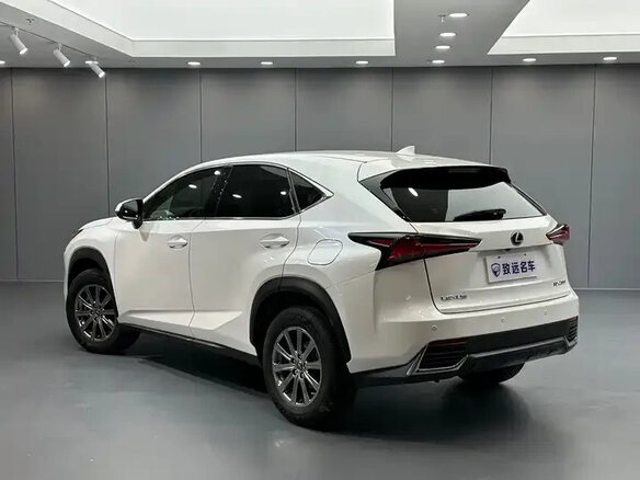 2020 Lexus NX 200 I Рестайлинг, белый, 2950000 рублей - вид 5