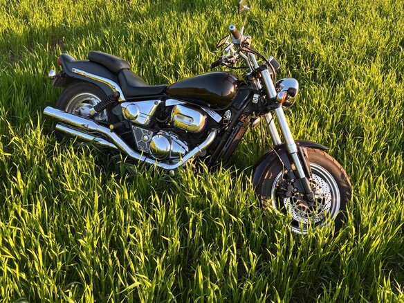 1997 Suzuki Desperado VZ400, чёрный, 300000 рублей - вид 5