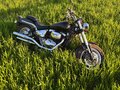 1997 Suzuki Desperado VZ400, чёрный, 300000 рублей - вид 5