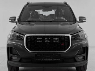 2024 SWM G05 Pro, серый, 1855000 рублей, вид 2